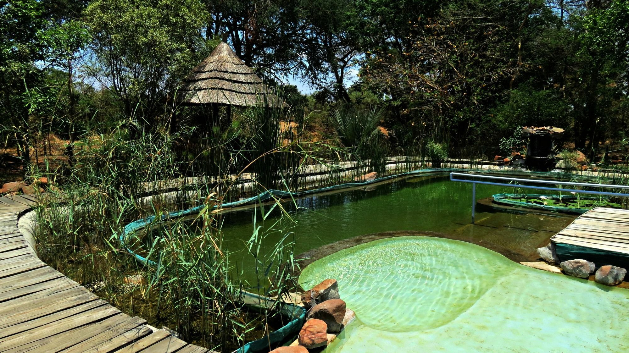 Munga Eco-Lodge Livingstone Dış mekan fotoğraf